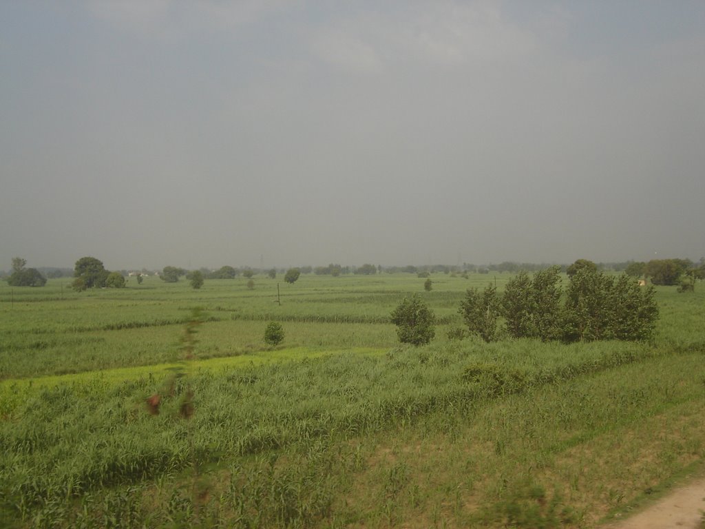 Uttar%20Pradesh%20005.jpg