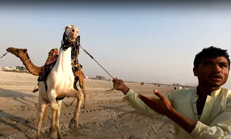 This photo shows one of the horsemen who tried to defraud a traveller from Scotland, Dale Philip, at Karachi's Seaview beach. Photo courtesy Dale Philip YouTube