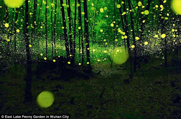 2D7EE87F00000578-0-image-a-44_1445085601800.jpg