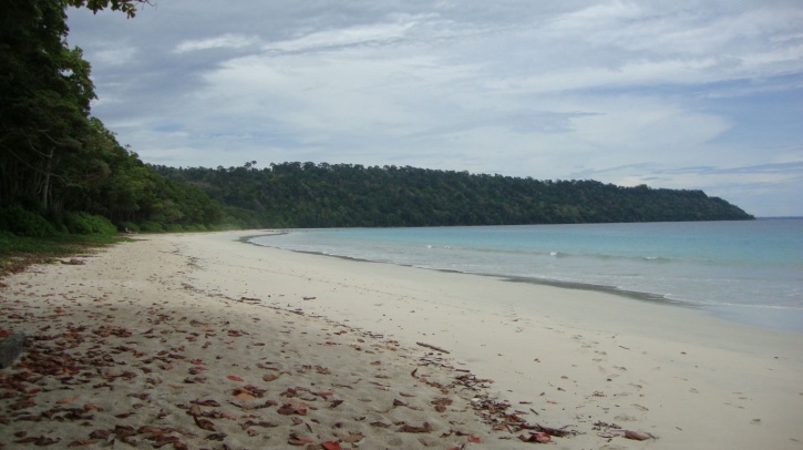 radhanagar-beach-big-image-1-wikipedia_1434369808_725x725.jpg