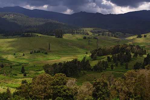 kodaikanal.jpg