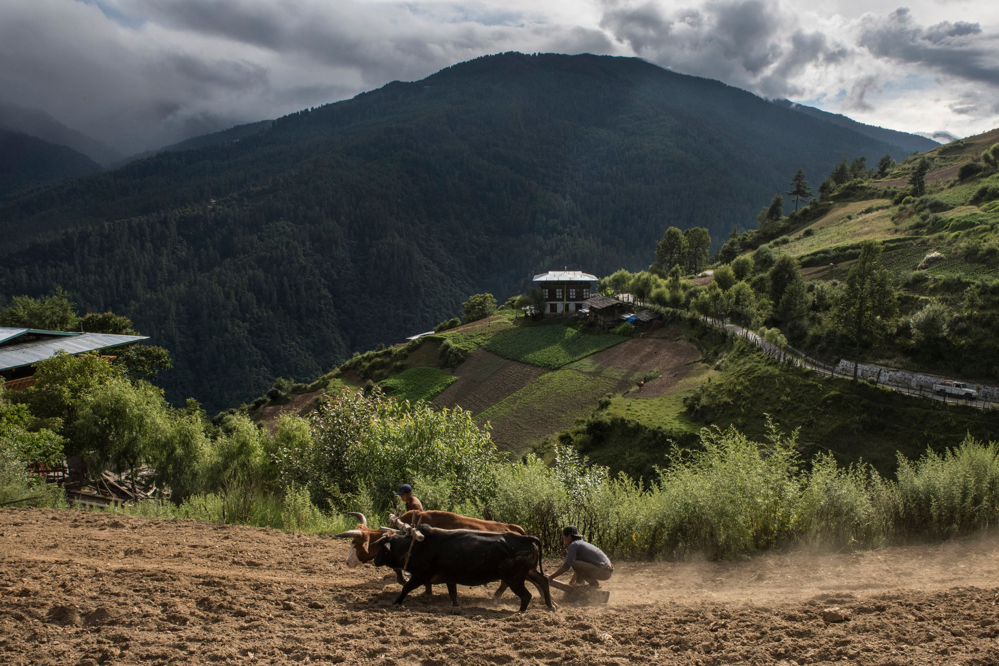 16bhutan-6sub-superJumbo.jpg