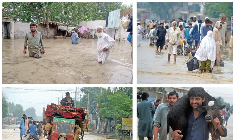 (Clockwise from left) Members of a family try to secure household items in their flooded house in Sardaryab area of Charsadda district on Saturday. People wade through floodwater after leaving their homes. A man carries a calf on his shoulders on a road. A motorcycle-rickshaw shifts goods of a family in Shabqadar area. — White Star
