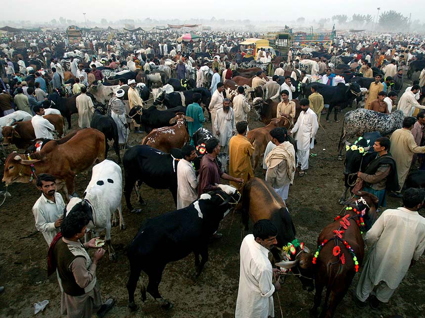 eidul-azha-5.jpg