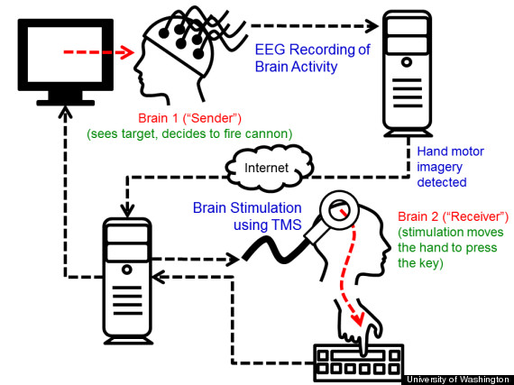 o-BRAINBRAIN-570.jpg