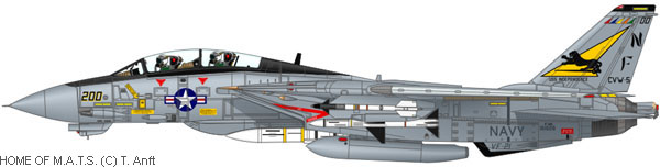 f14-squadron-vf021-01.jpg