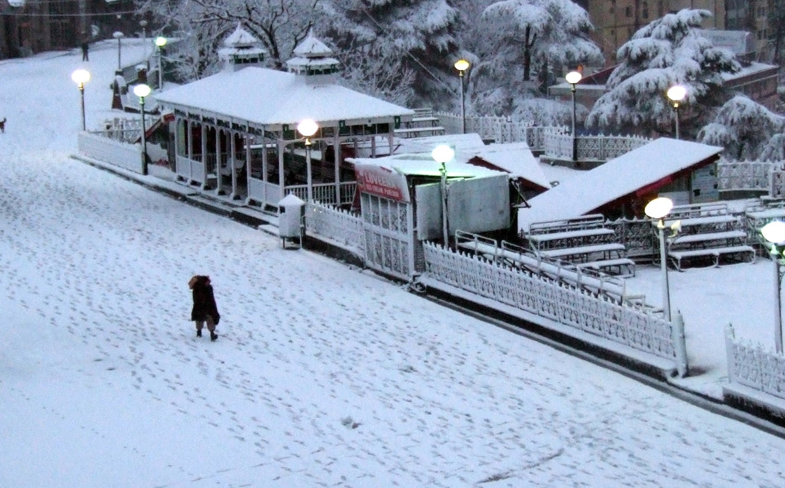 shimla+in+snow.jpg