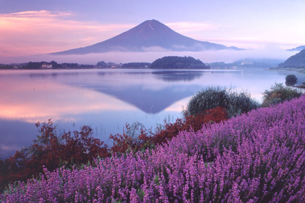 mount-fuji.jpg