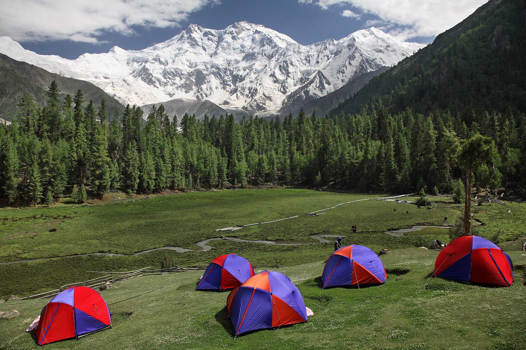 camping_at_fairy_meadows.jpg