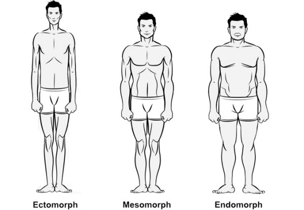 Body-types-600x416.jpg