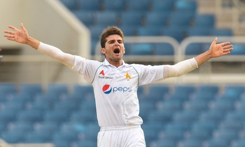 In this file photo, Shaheen Afridi celebrates the dismissal of Kemar Roach of West Indies during the 5th and final day of the 2nd Test between West Indies and Pakistan at Sabina Park on August 24, 2021. — AFP