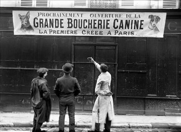 Grande_Boucherie_Canine_a_Paris.jpg