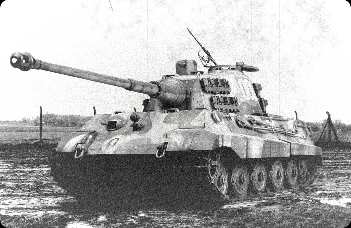 tigerii008cw_19a.jpg