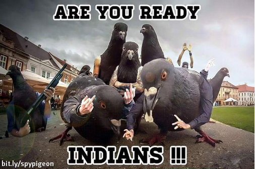 spy%2Bpigeon%2Bindia%2Bvs%2Bisi.png