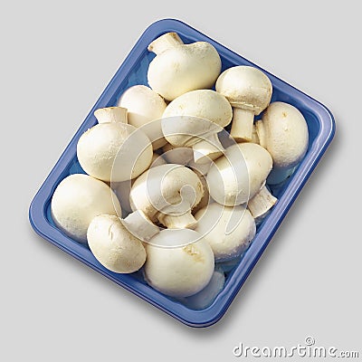edible-mushrooms-21474151.jpg