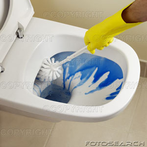 toilet_cleaner2.jpg