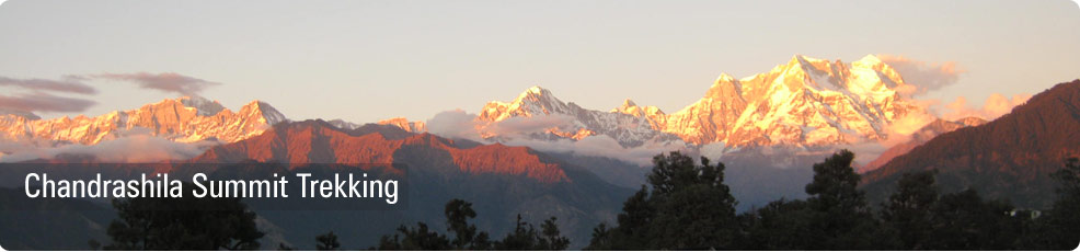 chopta-banner.jpg