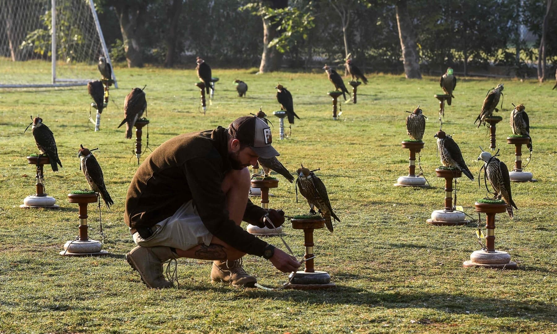 Hielko Van Rijthoven, a conservationist working with Wings of Change, examines one of the falcons seized by authorities from smugglers, in Karachi. — AFP