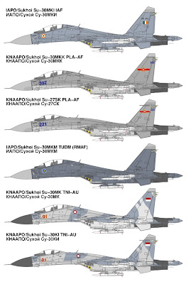 Flanker+Sukhoi.JPG