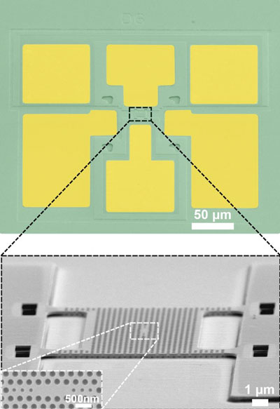 id48981_1.jpg