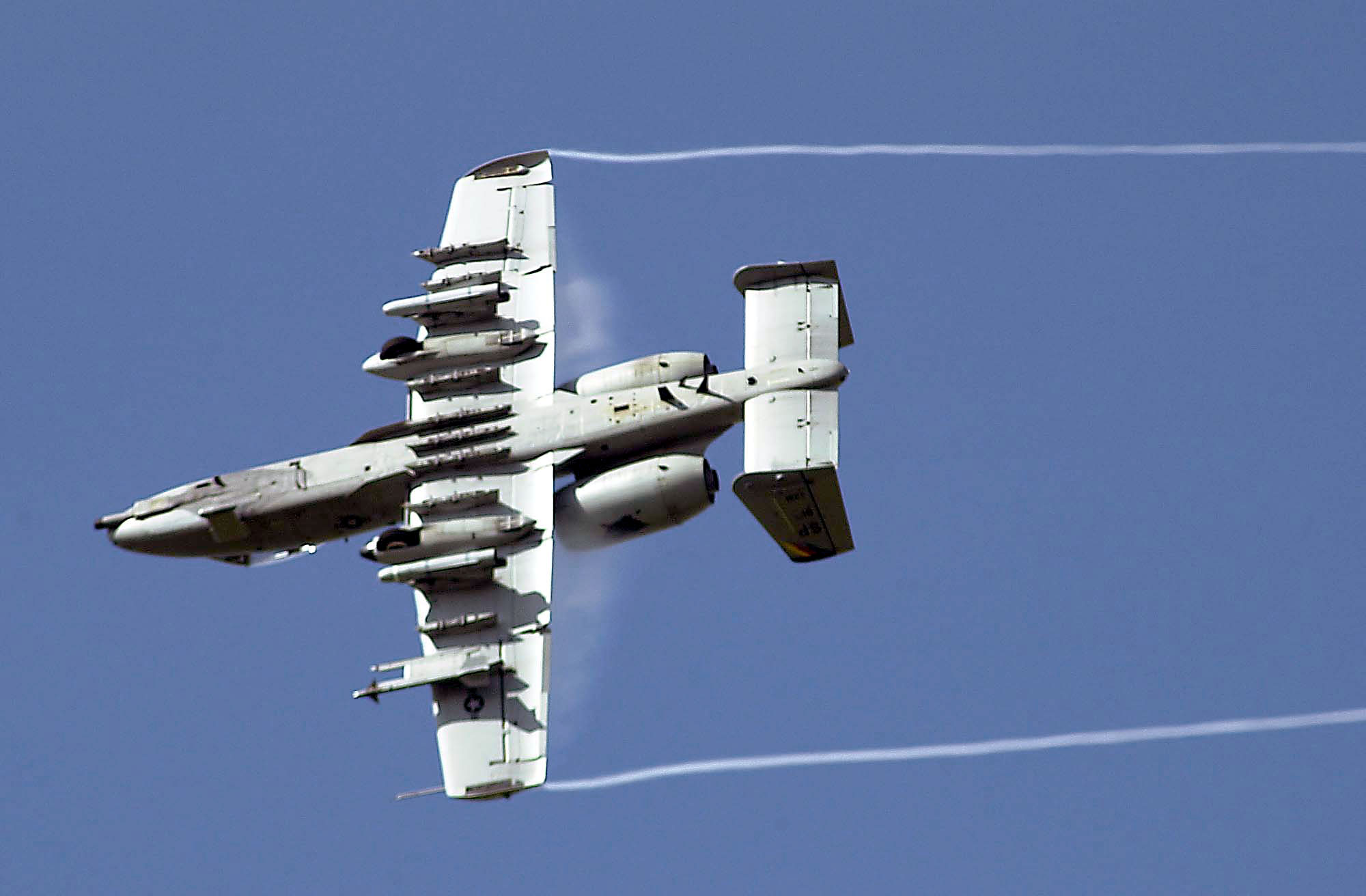 A-10_Thunderbolt_II_3.jpg
