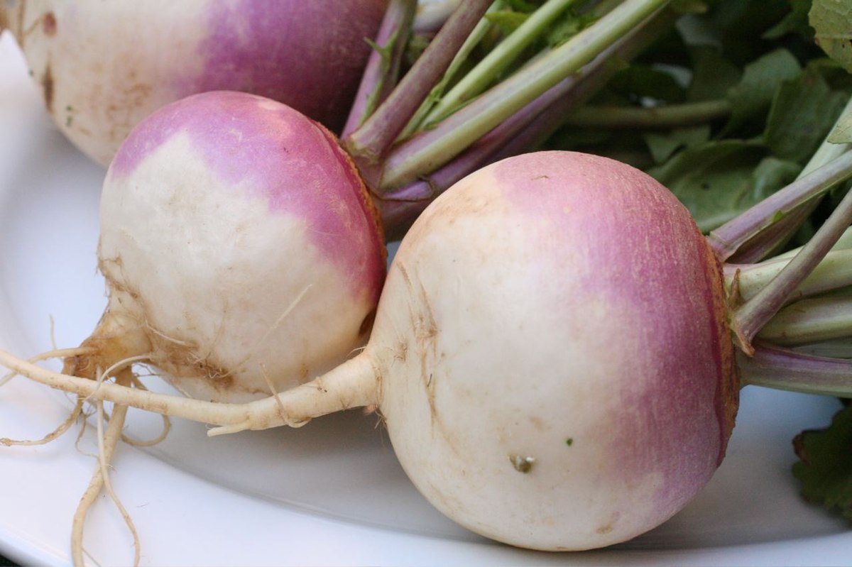 1200px-Turnip_2622027.jpg