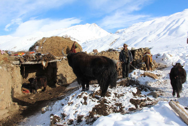 Locals-use-yak-skin-to-protect-themselves-against-extreme-cold1111.jpg