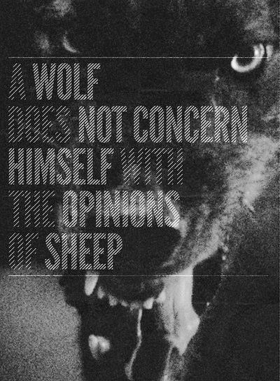 c2115796dad5c3fb9a6203457c30da76--werewolf-wolf-quotes.jpg