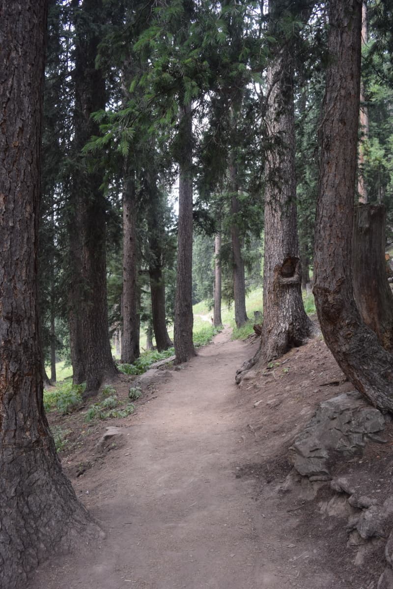 The walk to reach the Jahaz Banda meadows.