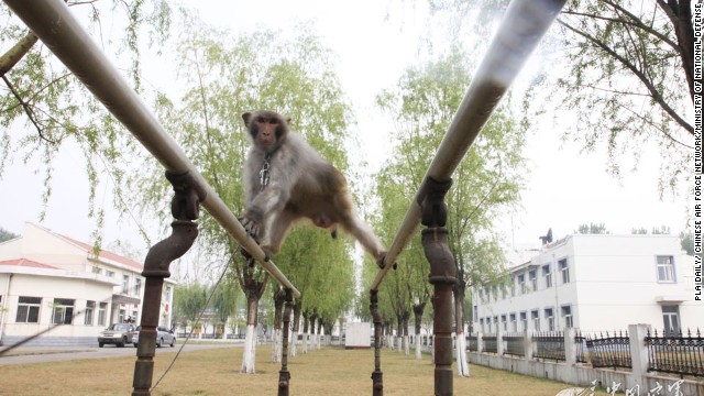 140508042532-china-pla-monkeys-horizontal-gallery.jpg