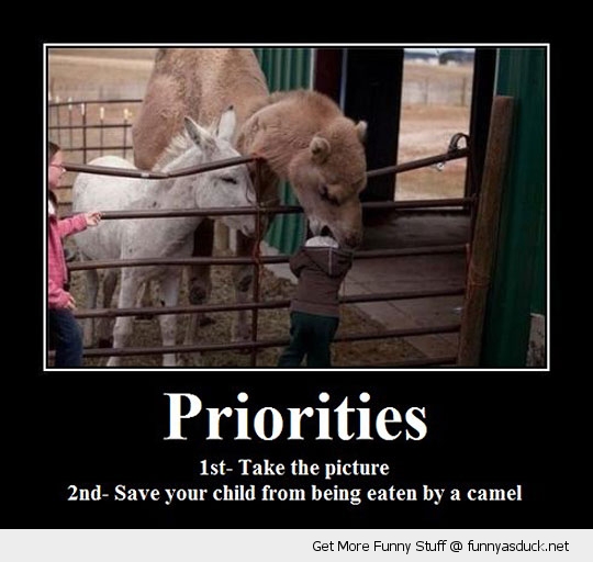 funny-priorities-camel-eating-kid-pics.jpg