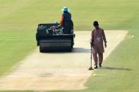 Flat pitches in Pakistan meant bat largely dominated ball (AFP/Arif ALI)