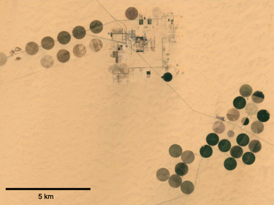 Irrigation_in_the_Heart_of_the_Sahara.jpg