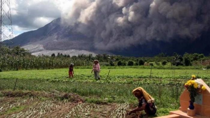 petani-sinabung_20150624_150819.jpg