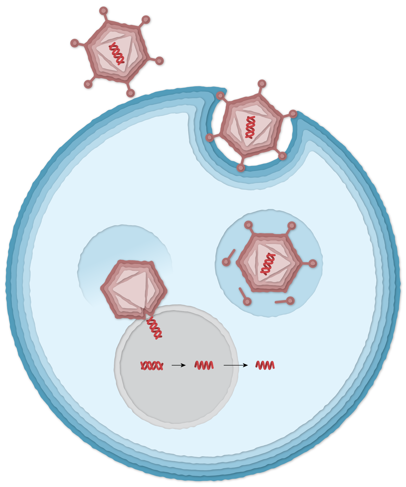 4-dna-az-800.png