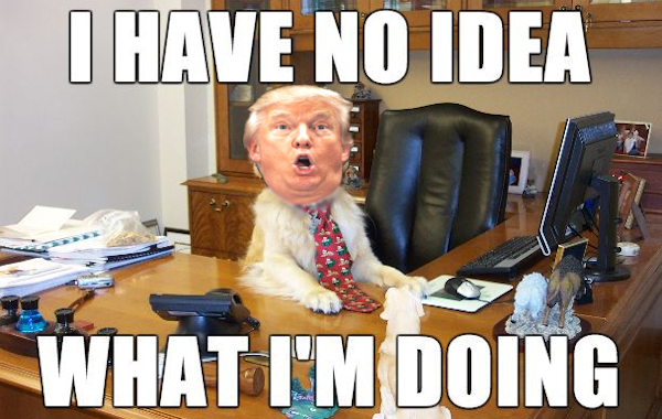 noideeadogtrump600.png