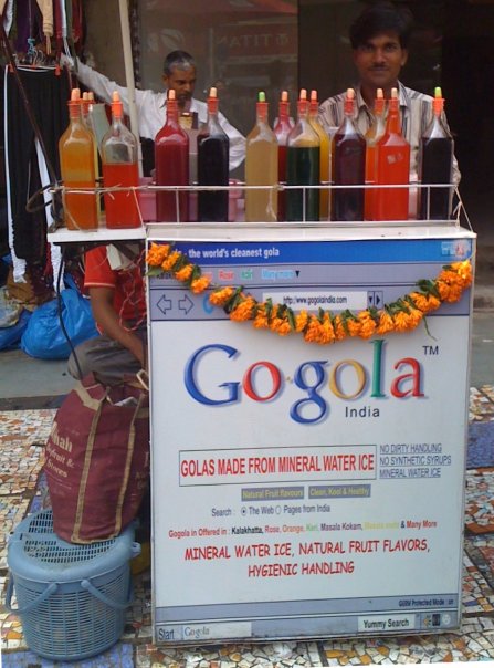 google-funny-photographs-from-gujarat-india-gogola1.jpg