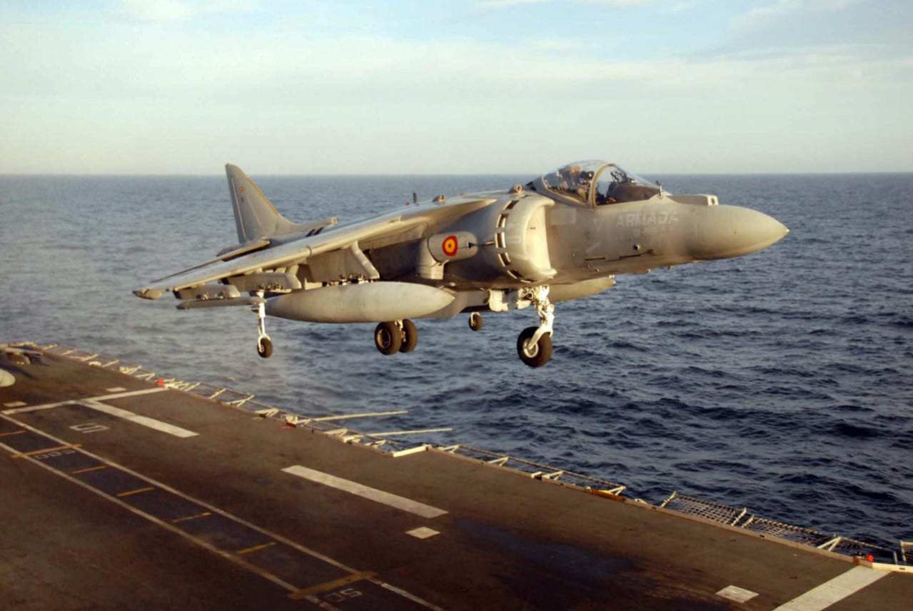 Spanish-Harrier.jpg