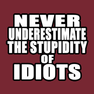 idiot-quotes-2.jpg