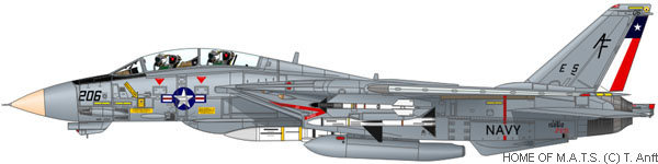 f14-squadron-vf202-01.jpg