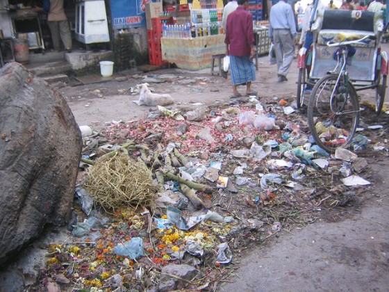 india-photos-08-560x420.jpg