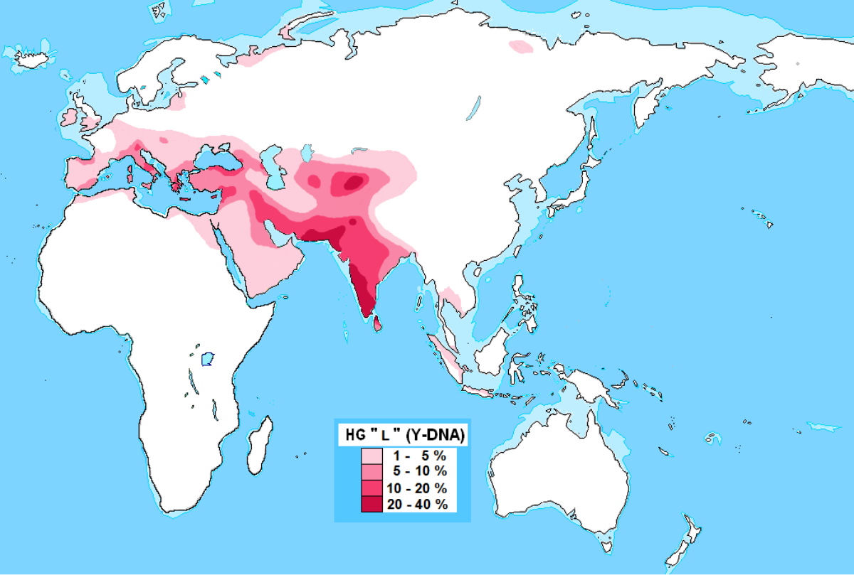 1200px-Distribution_Haplogroup_L_Y-DNA.svg.png