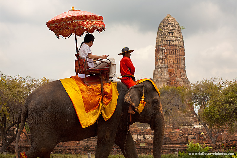 110511_ayutthaya_ayuthaya_elephant_ride_tourism_attractions_capitol_IMG_5103.jpg