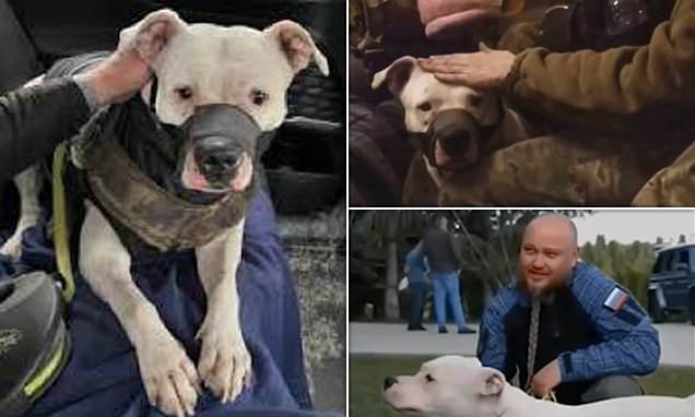 www.dailymail.co.uk