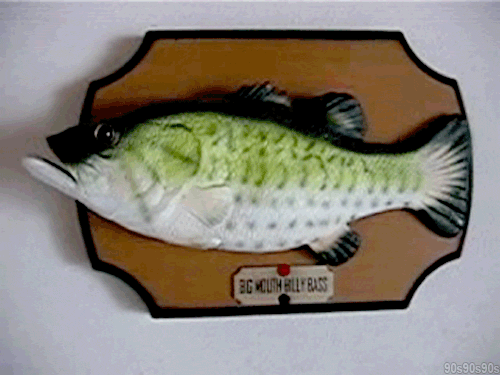 fish-gif.395156