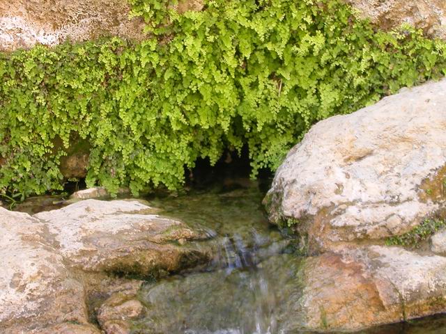 Fountain_Of_Gorakh.jpg