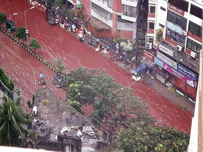 dhaka__-blood_moss2_091316091322.jpg