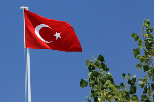 turkish-flag-871282057874rayG.jpg