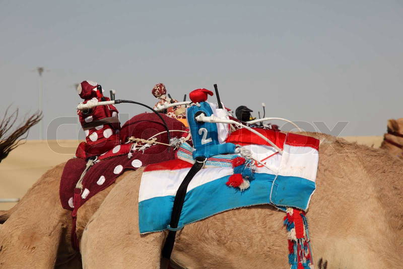 3356956-5854-robot-jockey-on-the-racing-camel.jpg