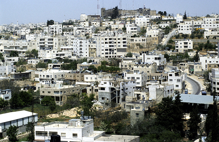 palest6.jpg